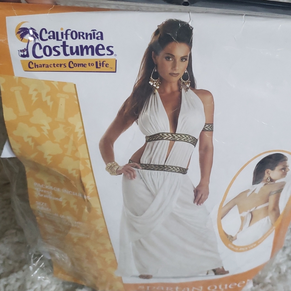 Grecian Goddess Costume